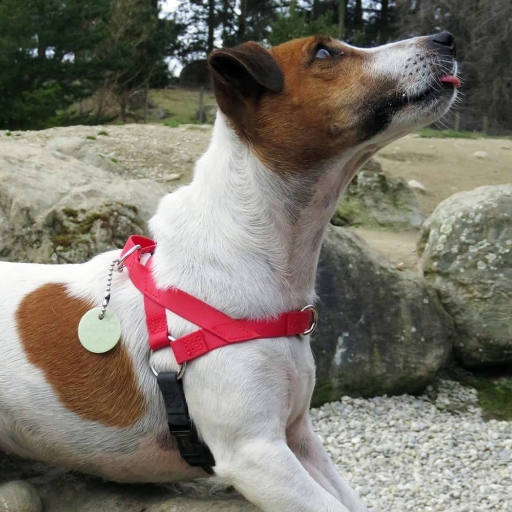UltraHund Freedom No Pull Harness in black
